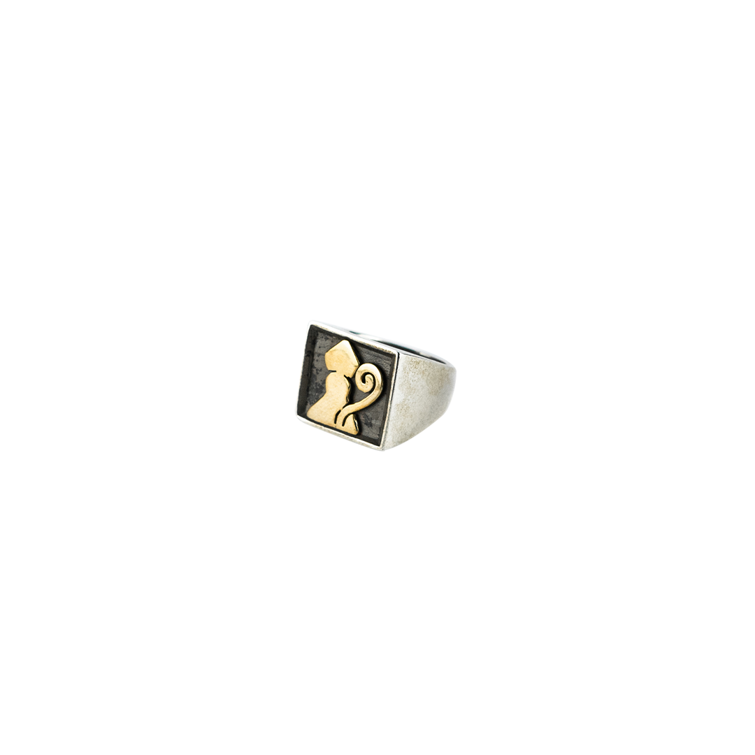 Anello san gennaro 2025